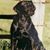 Lynn Veurink's profile image