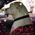 Cathy Curry's profile image