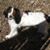 Margret Maggie May's profile image