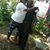 Kandia A. Breedlove's profile image