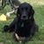 Julia-Dave Ehrie's profile image