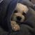 Kelly Brown Caserta's profile image