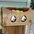 Joanne E. Staudacher's profile image