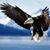 Baudilia Gallo's profile image