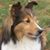Cathy Ammlung's profile image