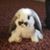 Sally-Jo Walters's profile image