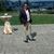 Anthony Westerfield's profile image