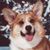 Val Koehler's profile image