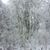 Christine Coldwell's profile image
