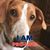 Sandy Duckett Hipps's profile image