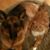 Elaine West Maynard's profile image