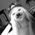 Norah Keska's profile image