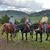 Lori Jessee's profile image