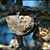Amy McGowen's profile image