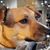 MarAnn Pie's profile image