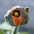 KL Fuller's profile image