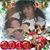 Carol Prettyladyy Locklear's profile image