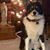 Lisa Clements Mattmiller's profile image