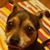 Terry Lynn Eubanks's profile image
