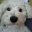 Aimie Mims's profile image