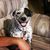 Sandra Burch's profile image