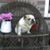 Merrie Miller's profile image