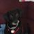 Dawn Knowles's profile image