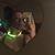 Claery Grace Dickson's profile image