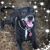 Kathy Volkening's profile image