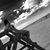 Genesis Jequitibá Torres's profile image