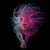 Nikki Rafferty King's profile image