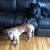 Marie Maniscalco Hogan's profile image