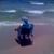 Louise Miller's profile image