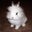 J P's profile image