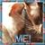 Leah Steigerwalt Bernard's profile image