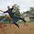 Mike Fierley's profile image