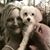Susan Elisabeth McTeer's profile image