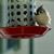 Julie Arnold Lisnet's profile image