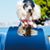Jon C Reilly's profile image