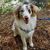 Kathy Sluder's profile image