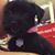 Raquel Beltran's profile image