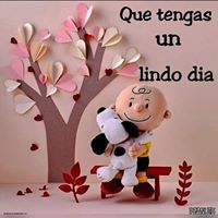 Yolanda Vargas's profile image