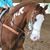 Amanda Katherine Rivera Nochez's profile image