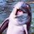 Sharon Lee Noble's profile image