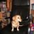 Kimberly Schichman's profile image