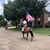 Marsha Luttmer Dill's profile image