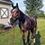 Katie Brandt Weaver's profile image