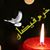 Khurram Fezaan's profile image