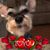 Laurie A. Sanchez's profile image
