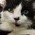 Cheri Causey's profile image